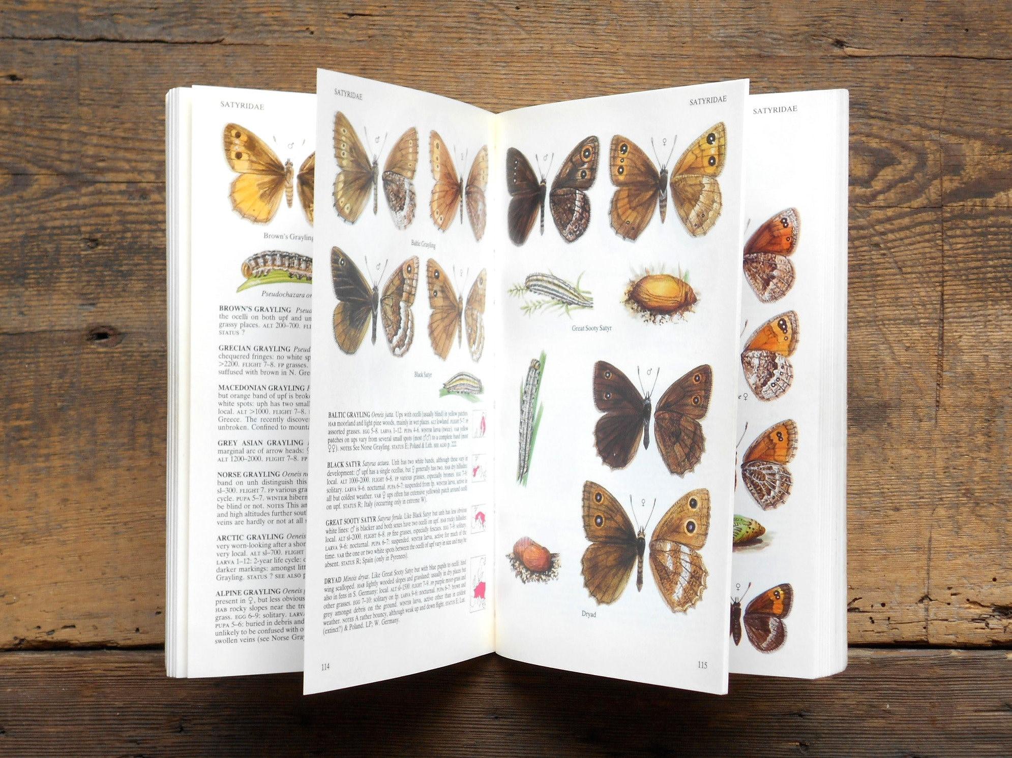 British Butterfly Book, Field Guide to Butterflies of Britain and ...
