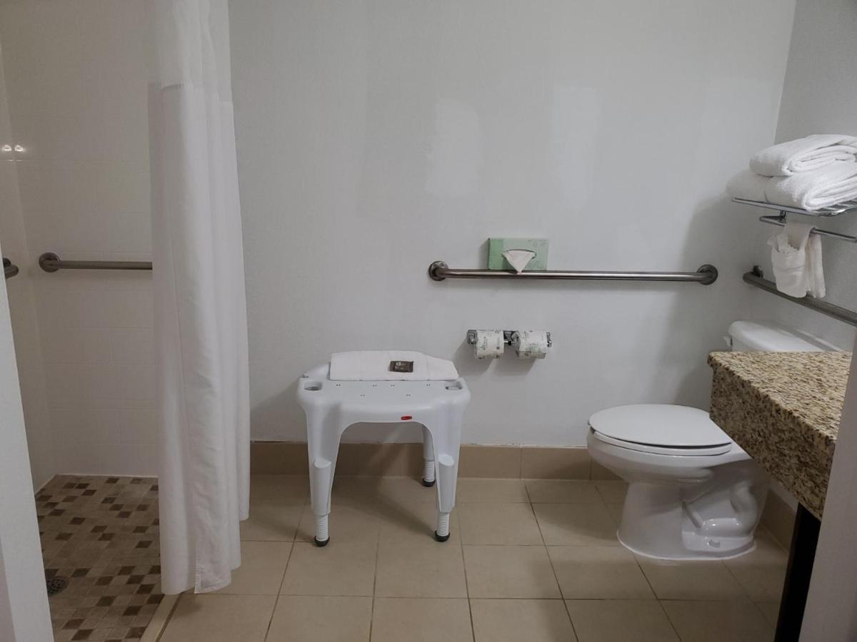 King Room Roll Shower Disability Access or Non-Smoking