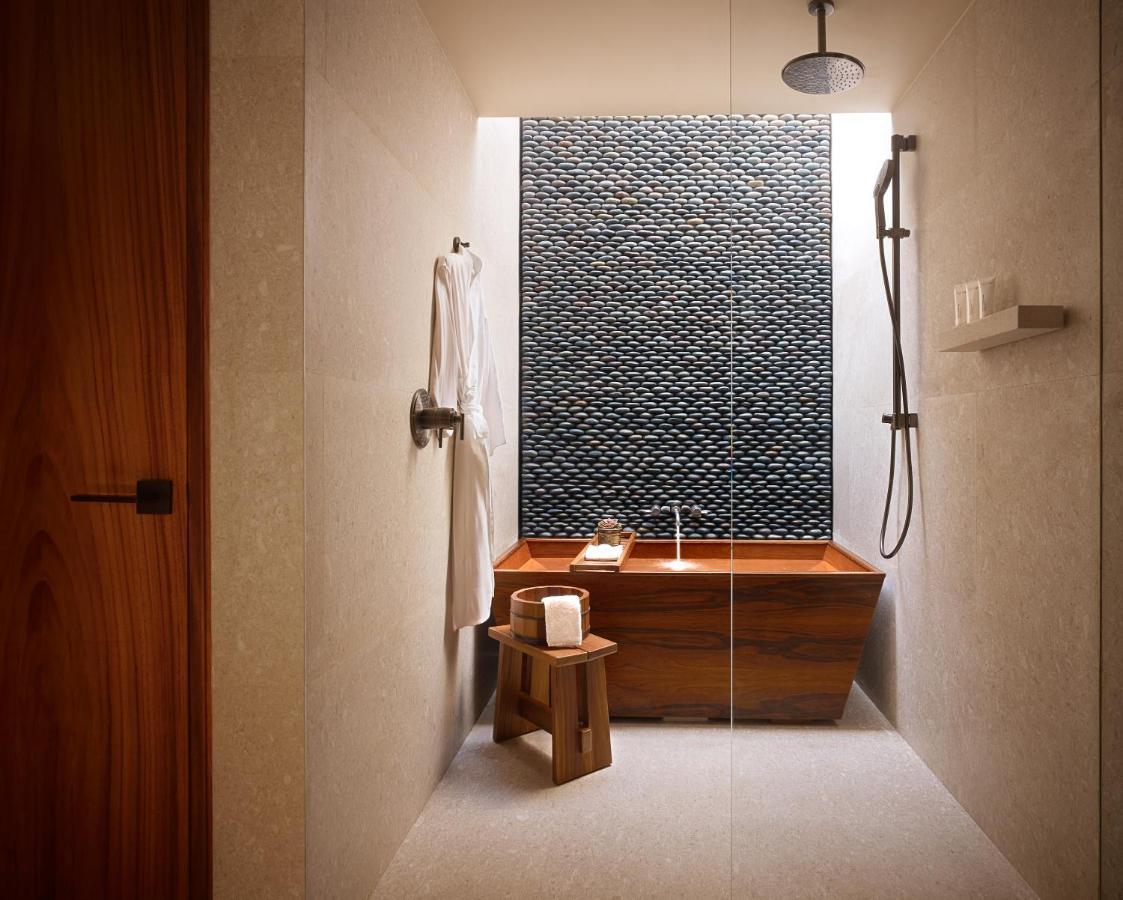 Deluxe Double Swim-Up