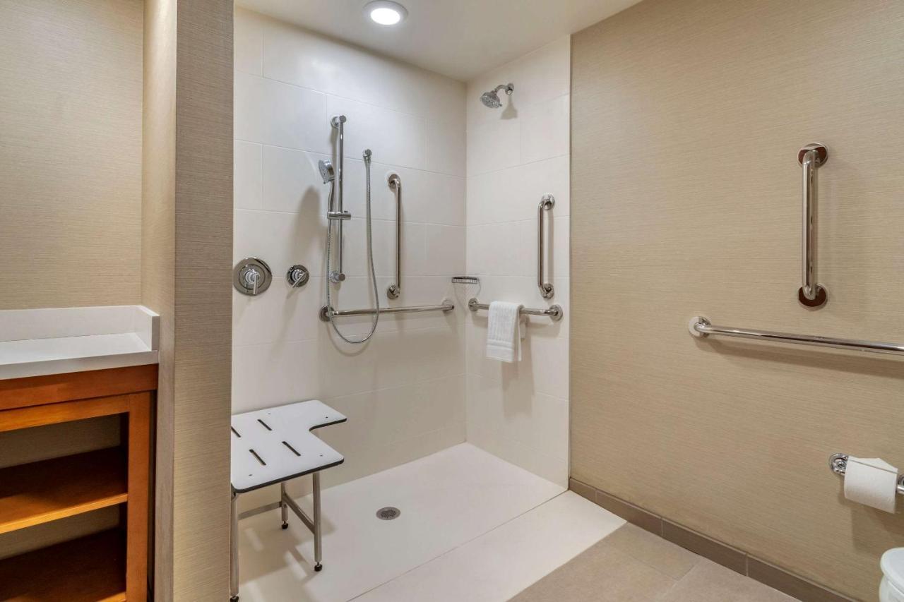 King Suite with Roll-In Shower and Sofa Bed - Accessible/Non Smoking