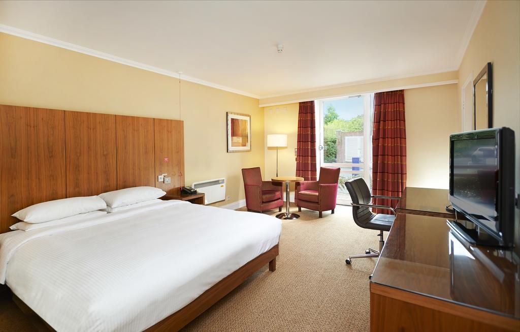 King Deluxe Room,568496058:JPEG