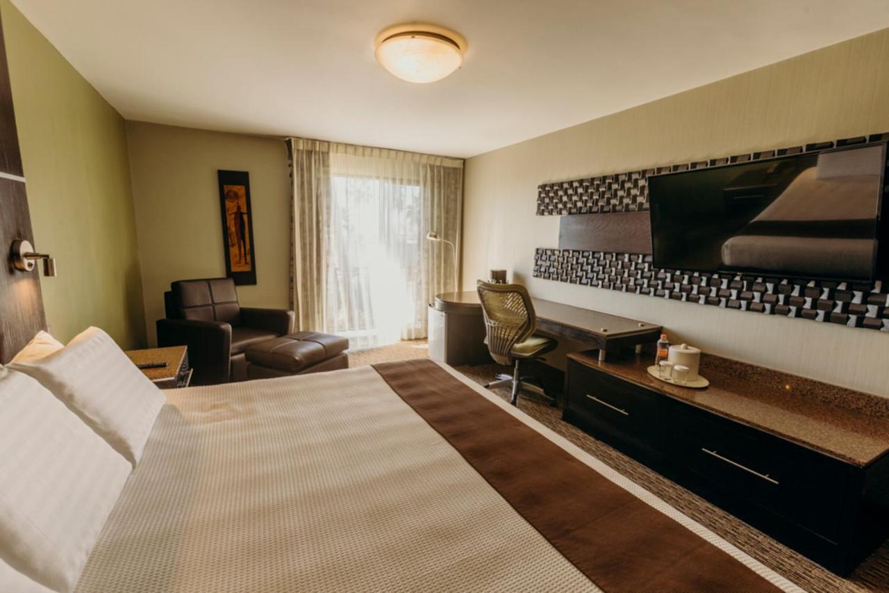 Habitación Estándar - Cama extragrande
