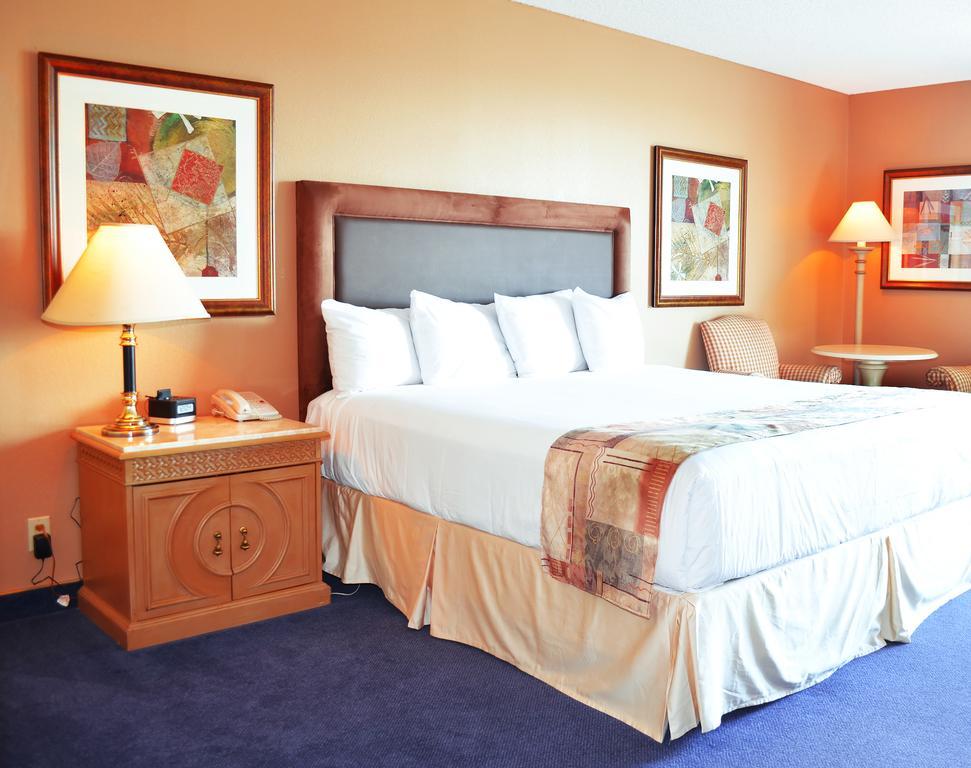 Standard King Room