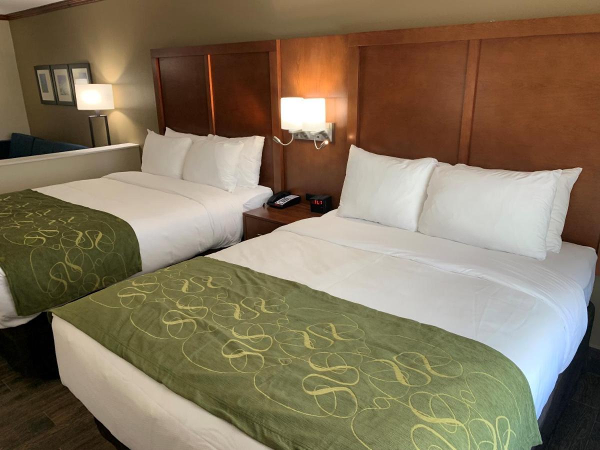 Queen Suite with Two Queen Beds and Sofabed - Non Smoking