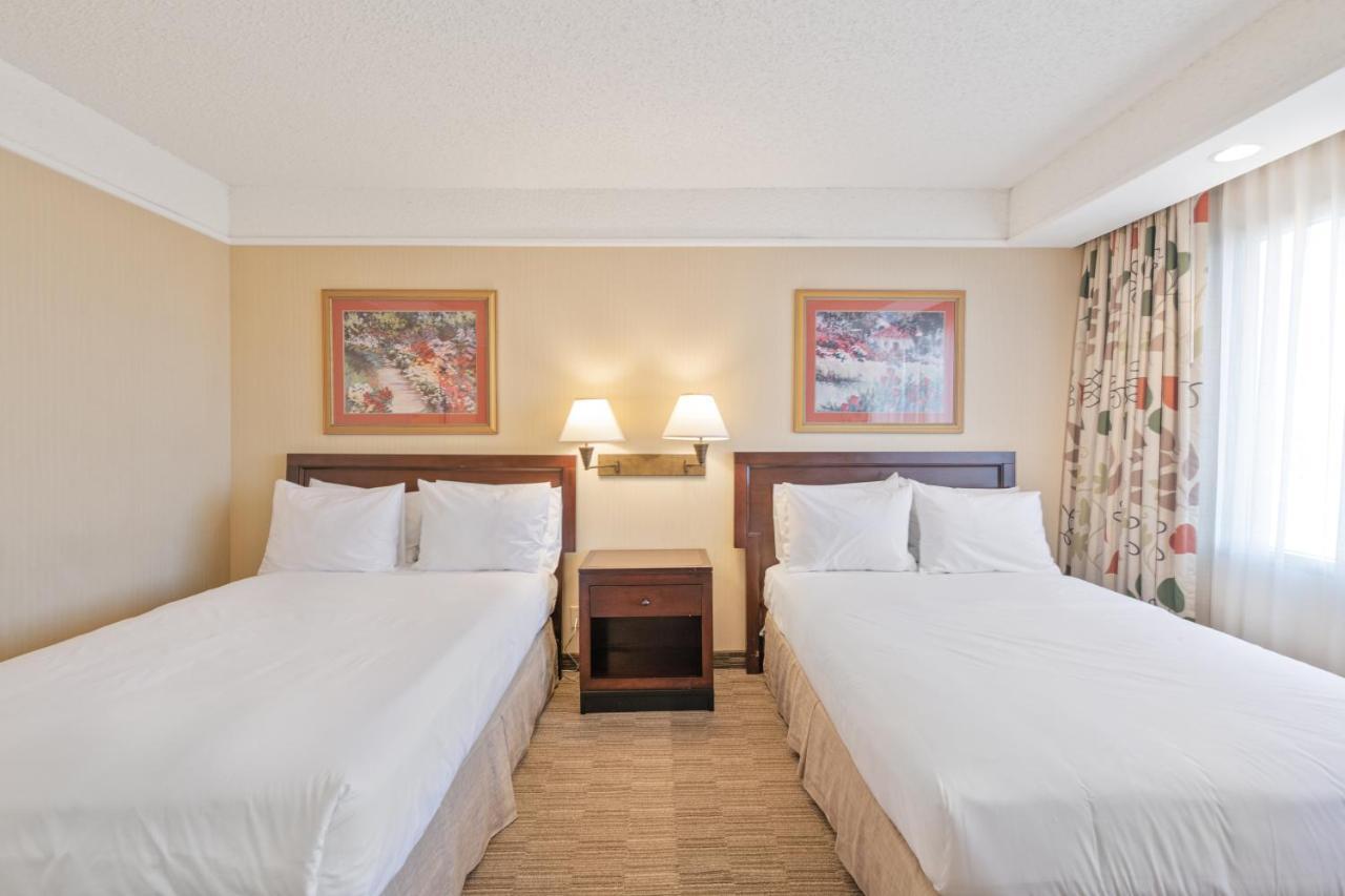 Superior Suite,1184569483:JPEG