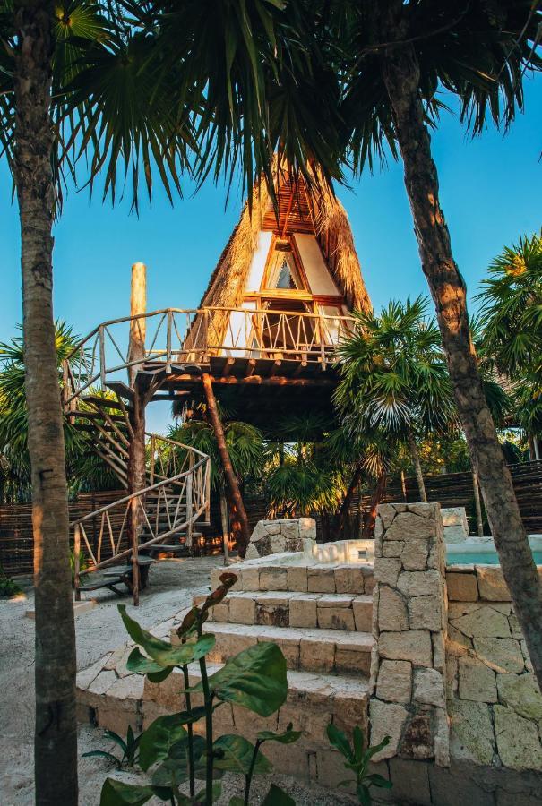 Tree House,1195639978:JPEG