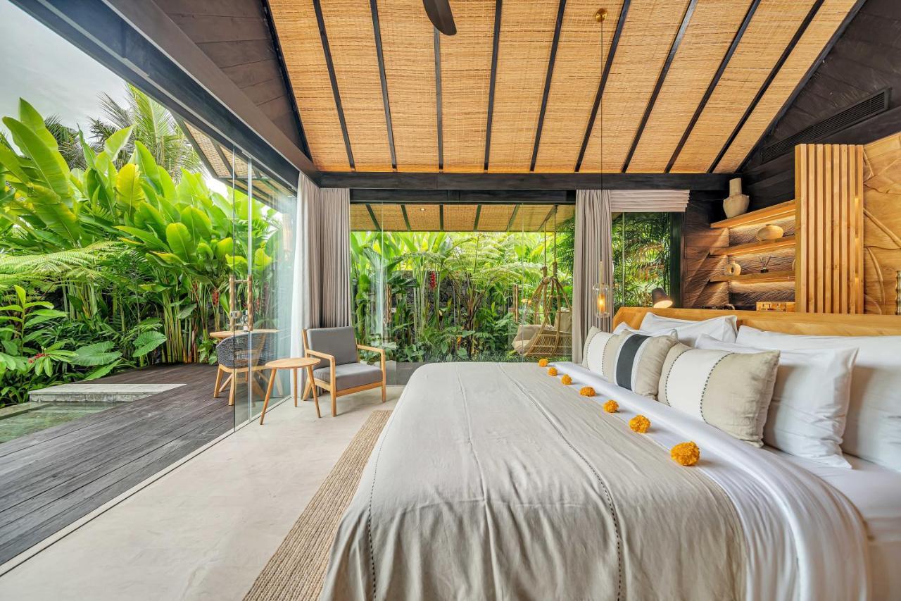 Premium Jabu with Plunge Pool
