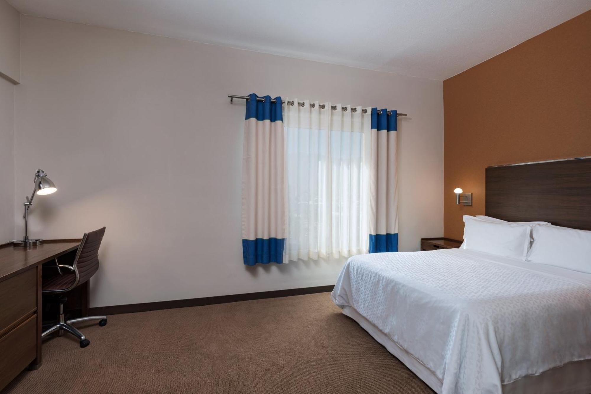 Superior Junior Suite 1 Bedroom Suite 1 Queens Sofa bed,1629901301:JPEG