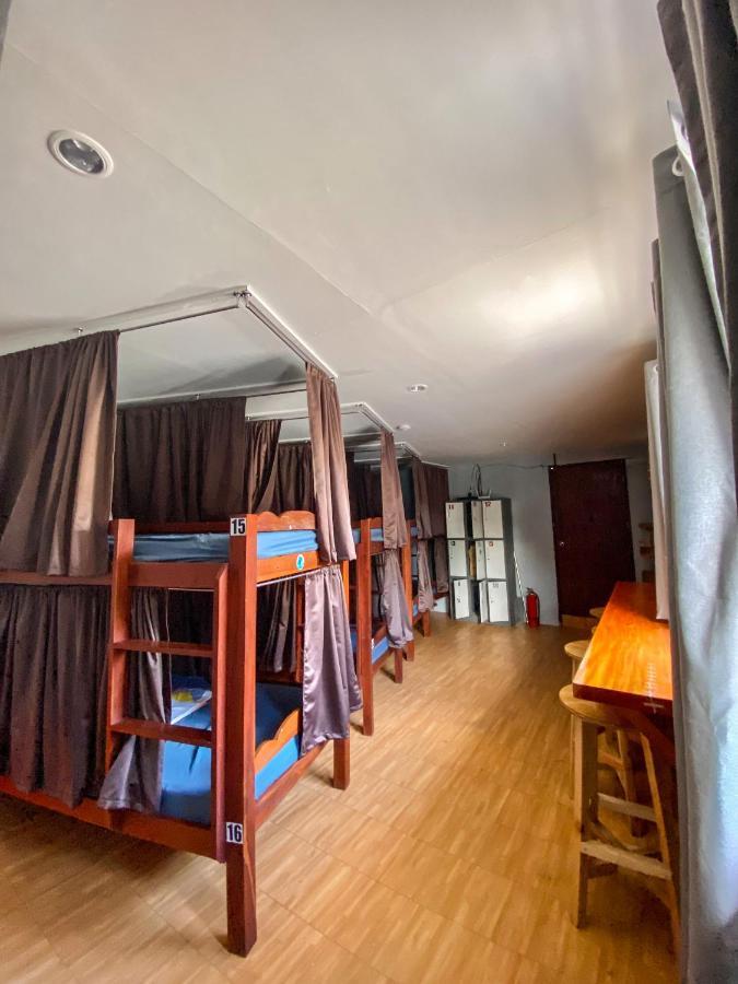 Bunk Bed Mixed Dormitory Room
