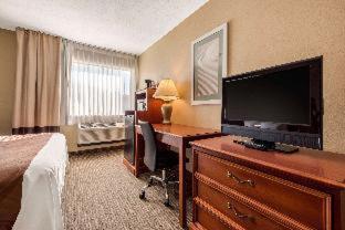 Suite, King Bed with Whirlpool and Sofa Bed