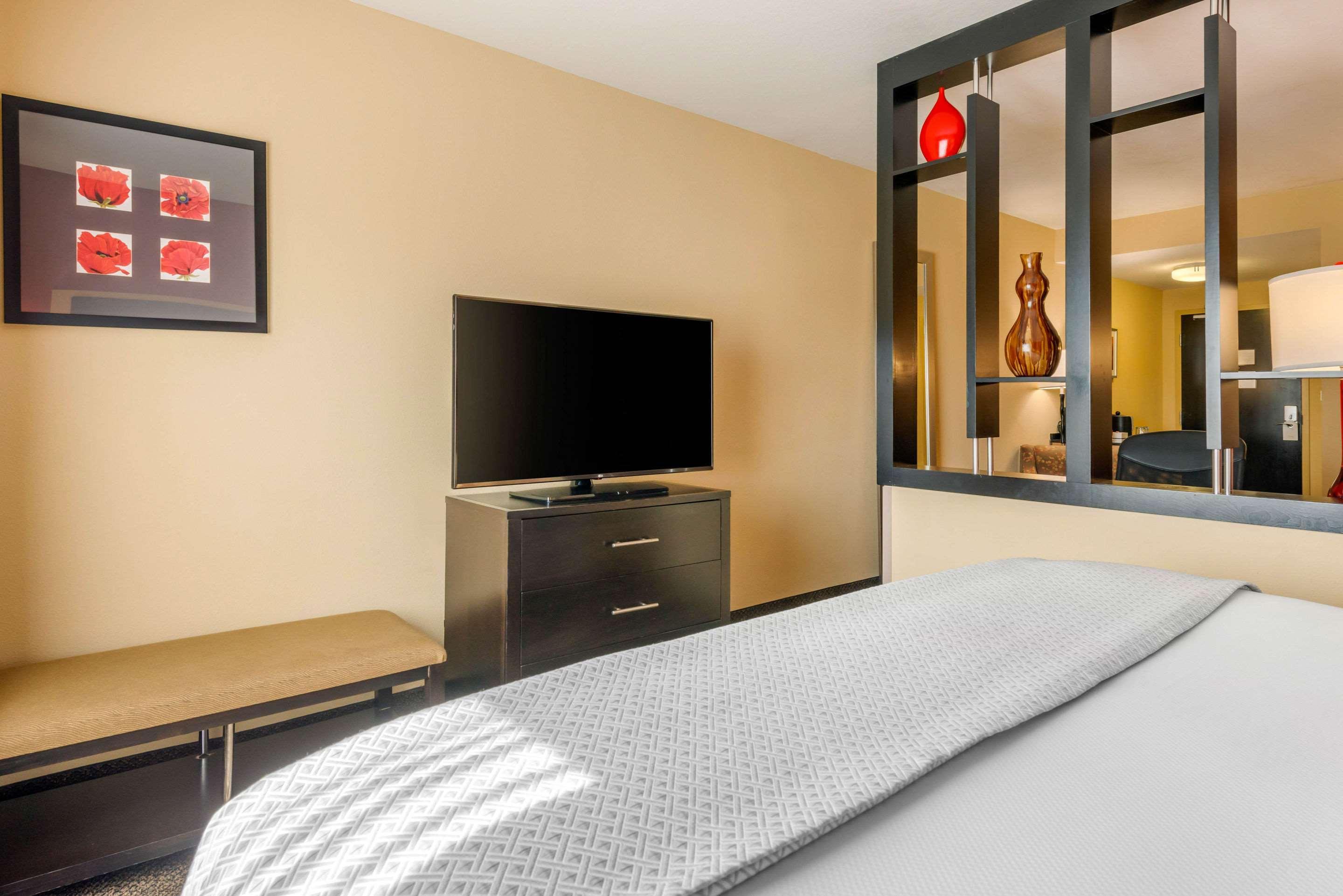 King Suite with Sofa Bed - Non-Smoking