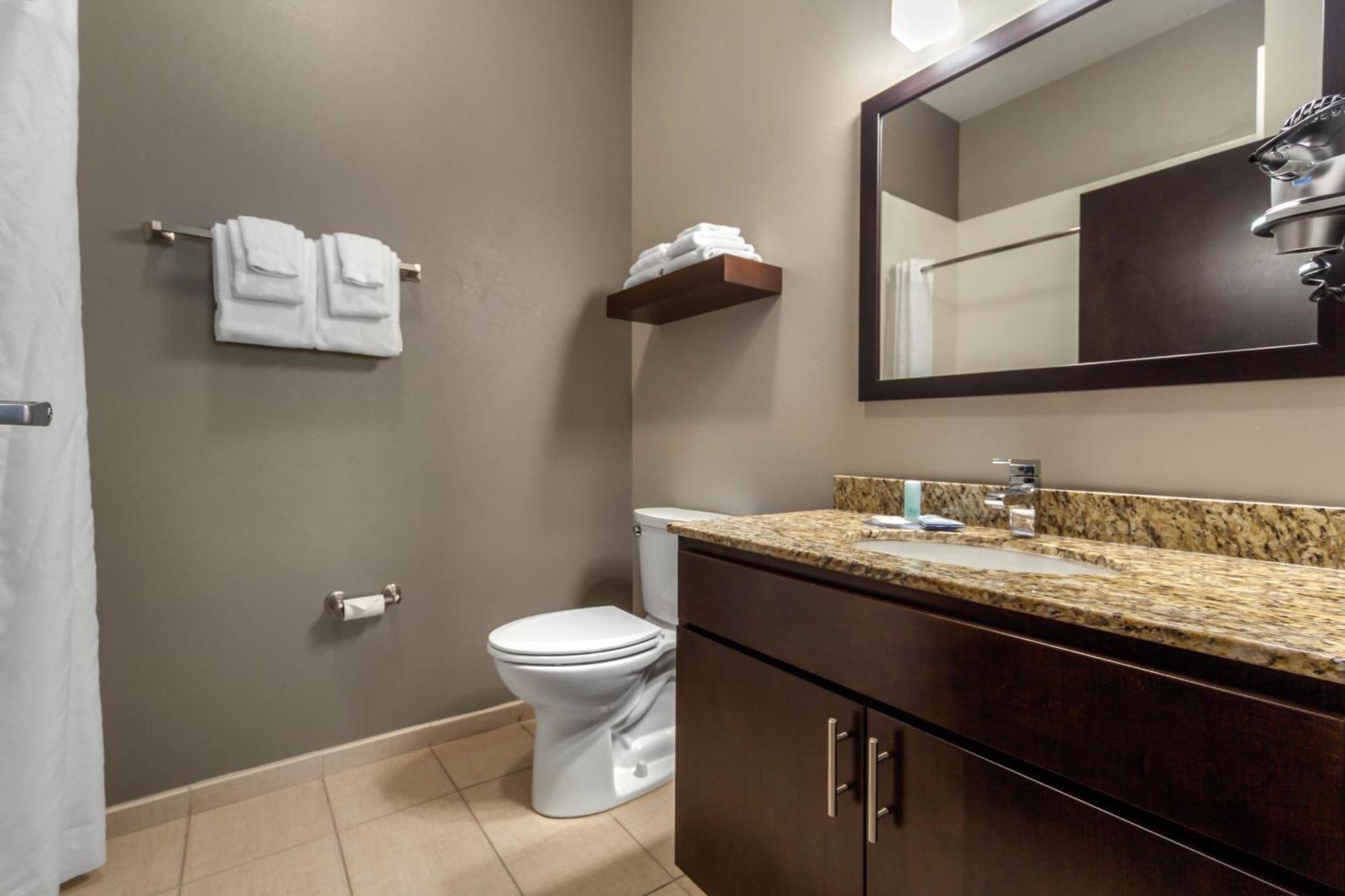 King Suite with Sofa Bed