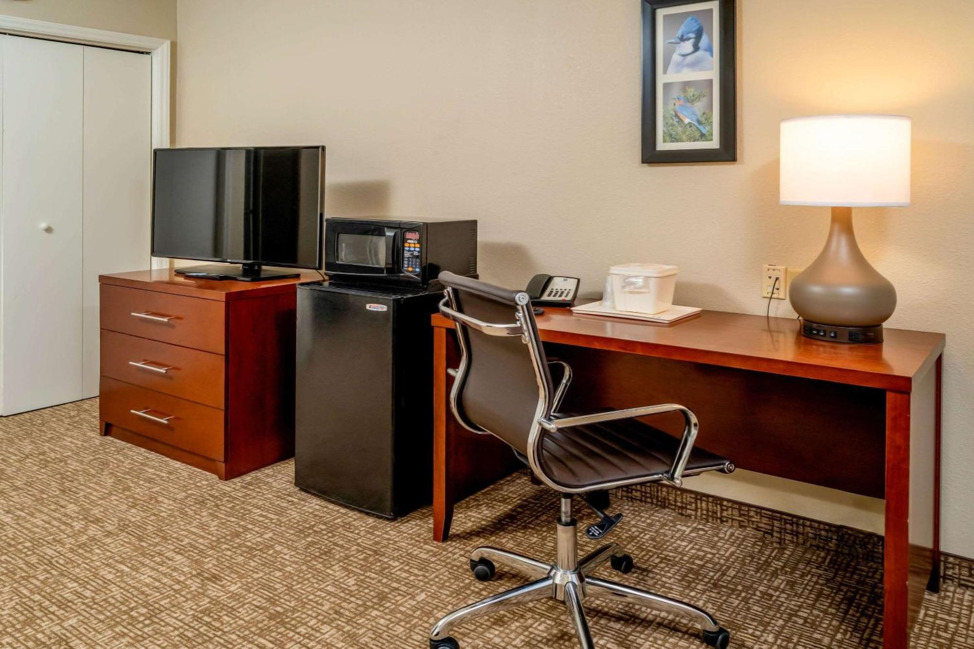 Double Suite with Two Double Beds - Accessible/Non-Smoking