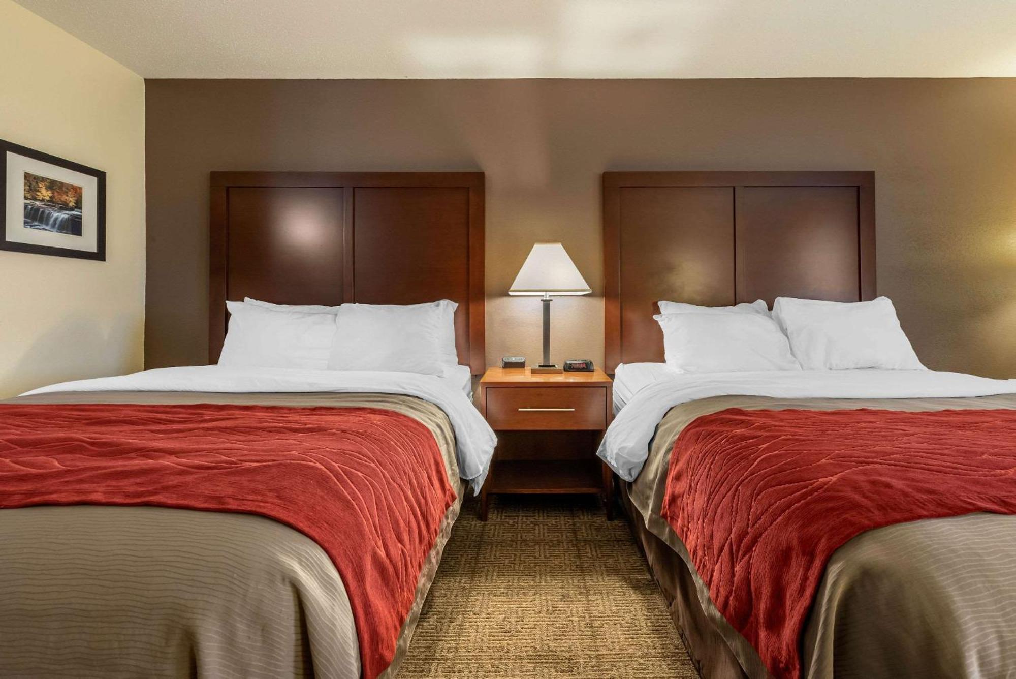 Queen Room with Two Queen Beds - Non-Smoking