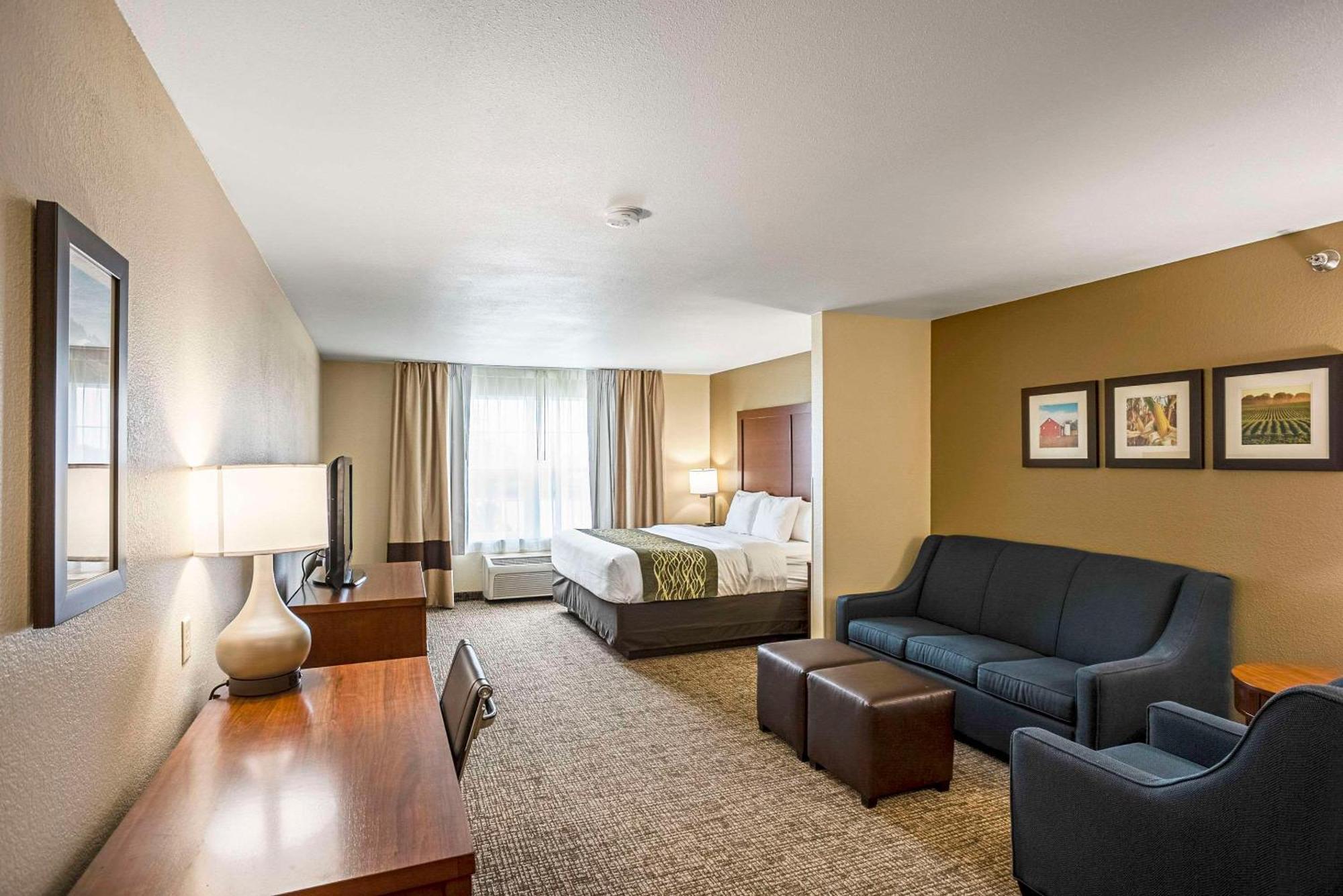 King Suite with Sofa Bed - Non-Smoking