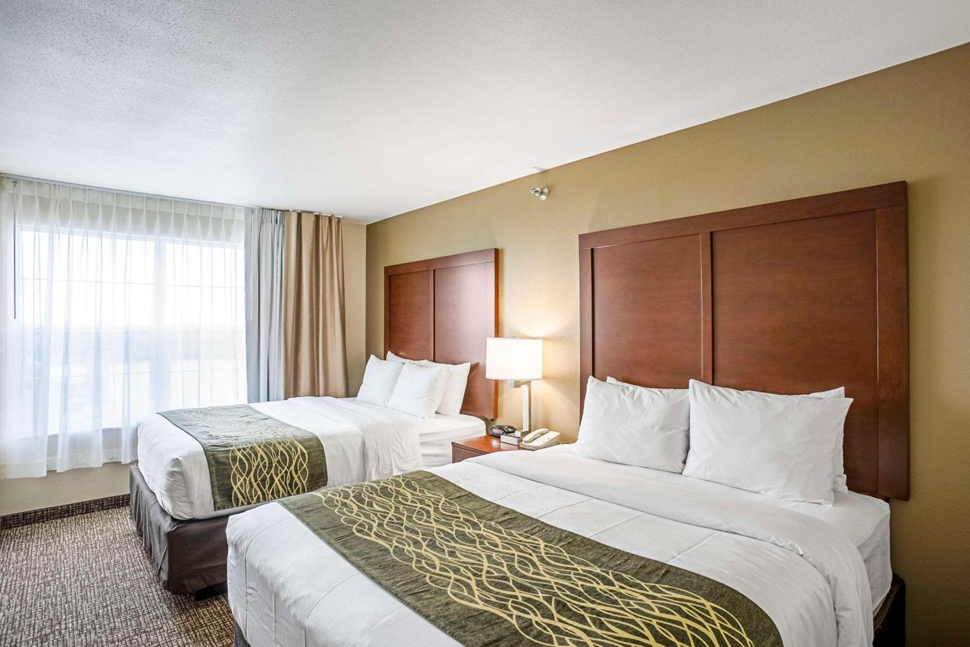 One-Bedroom Queen Suite with Sofa Bed - Non-Smoking