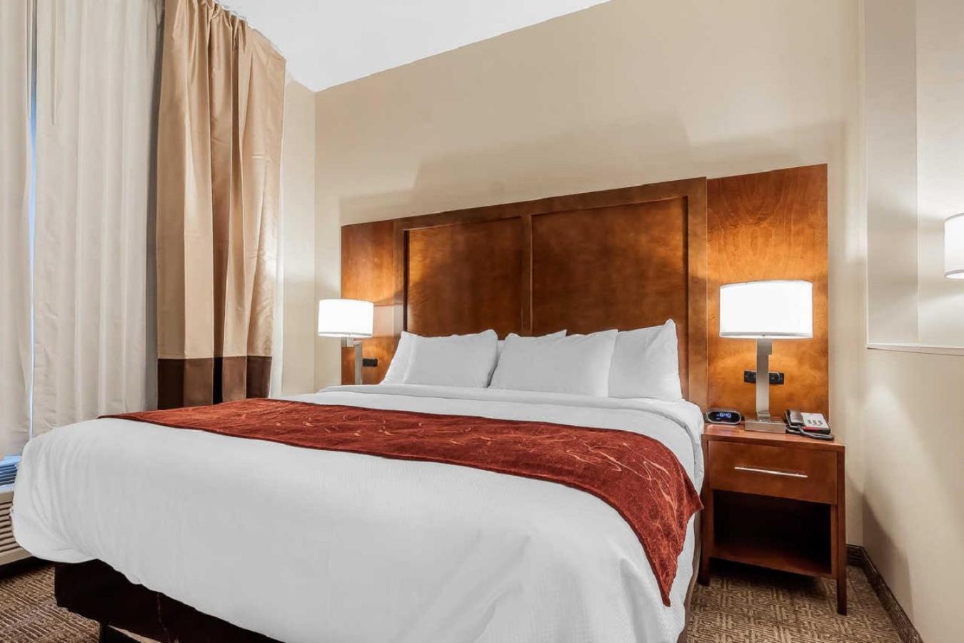 King Suite with Sofa Bed - Non-Smoking