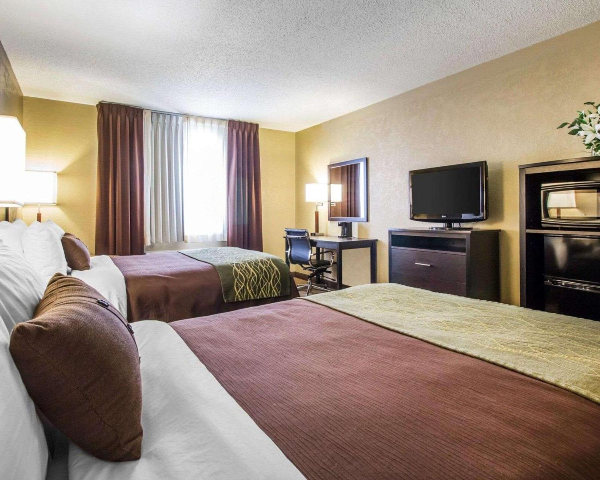 Double Room Two Double Beds