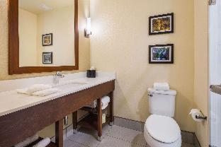 King Suite with Roll-in-Shower - Accessible/Non-Smoking