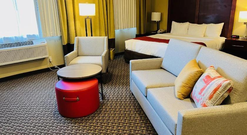 One Room Suite with Sofa bed - Non Smoking