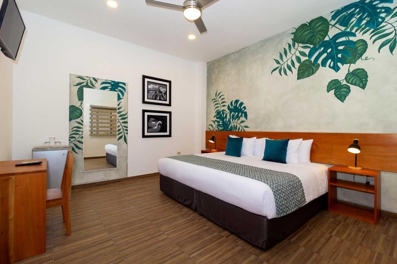 Habitación Individual Estándar