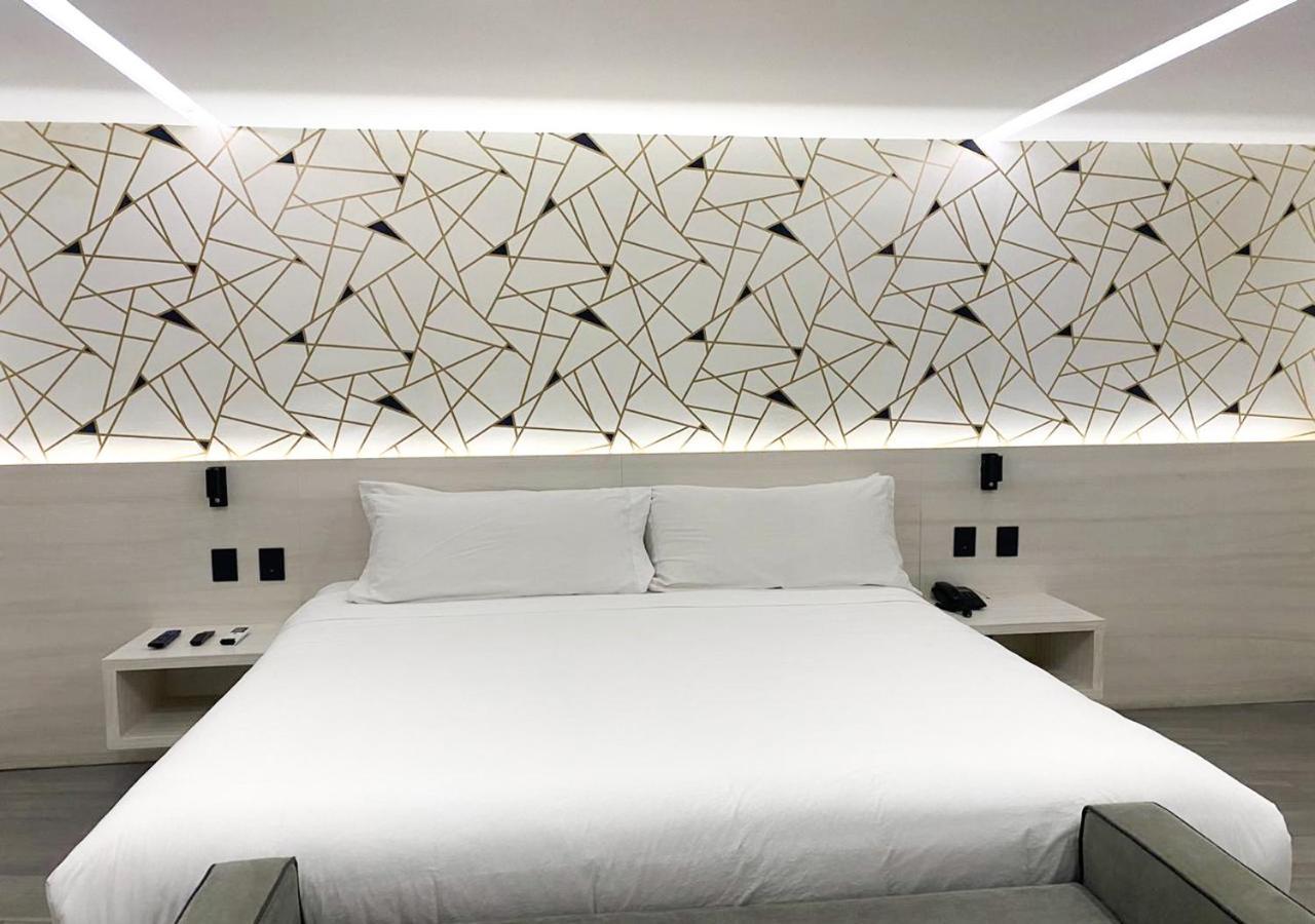Estudio con cama extragrande y sofá cama