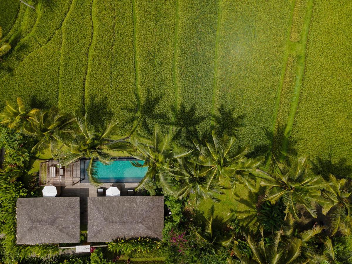Two-Bedroom Villa Private Pool Daily Scheduled Activities,1643844014:JPEG