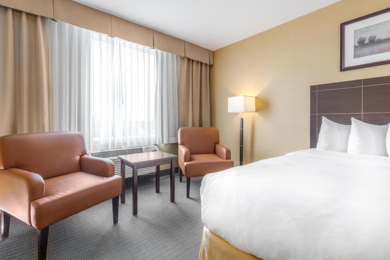 King Room - Disability Access/Non-Smoking