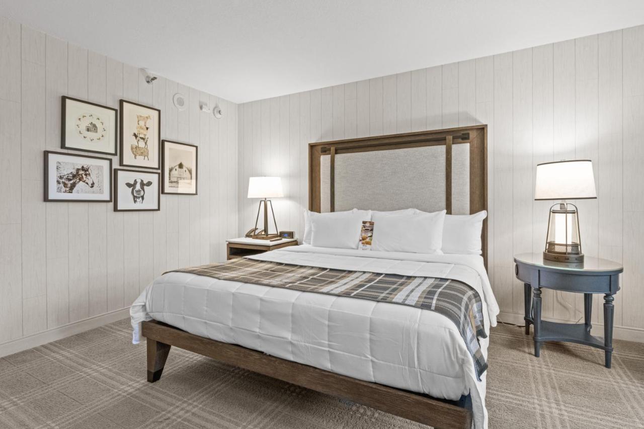 Queen Room,1352416322:JPEG