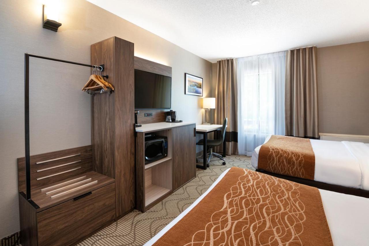 Standard 2 Double Beds - Ground Floor/Non-Smoking