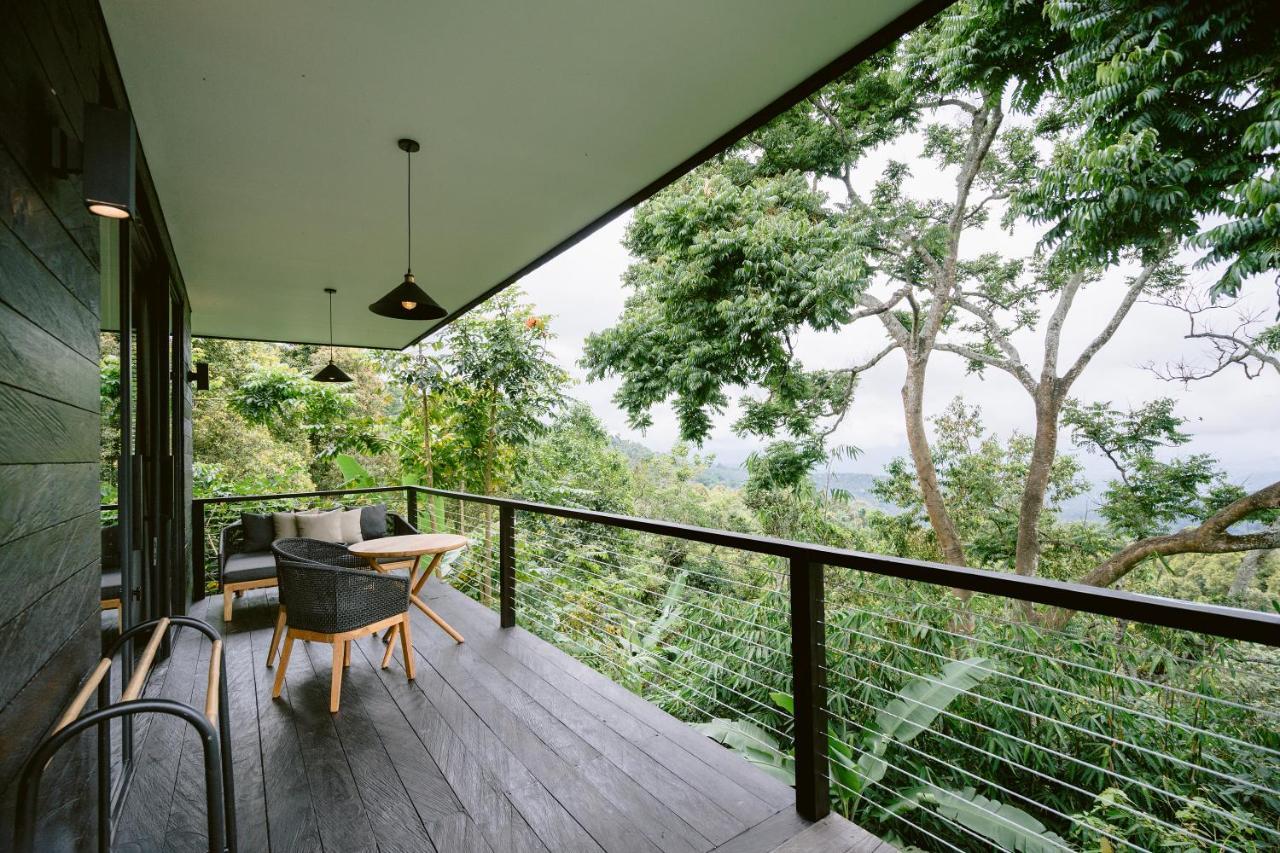 Premium Studio Cabin