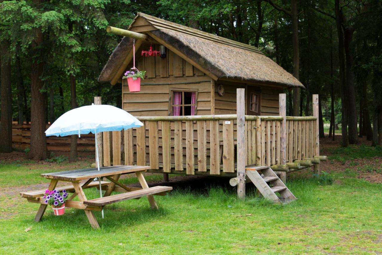 Wooden Log Cabin no bathroom,1588149831:JPEG