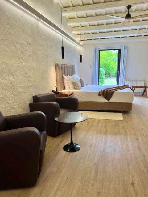 Junior Suite met Terras