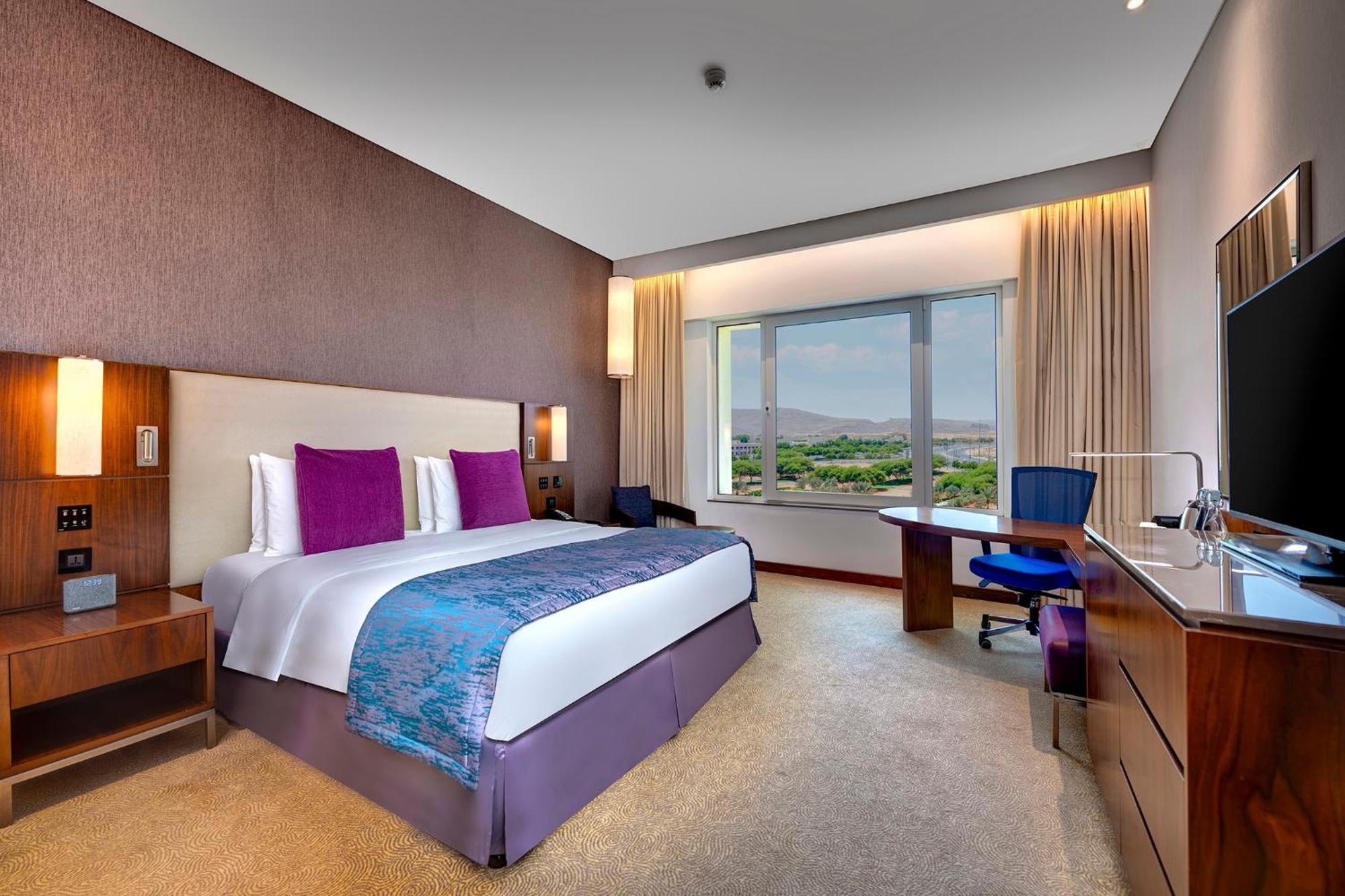 Premium King Room Mountain View