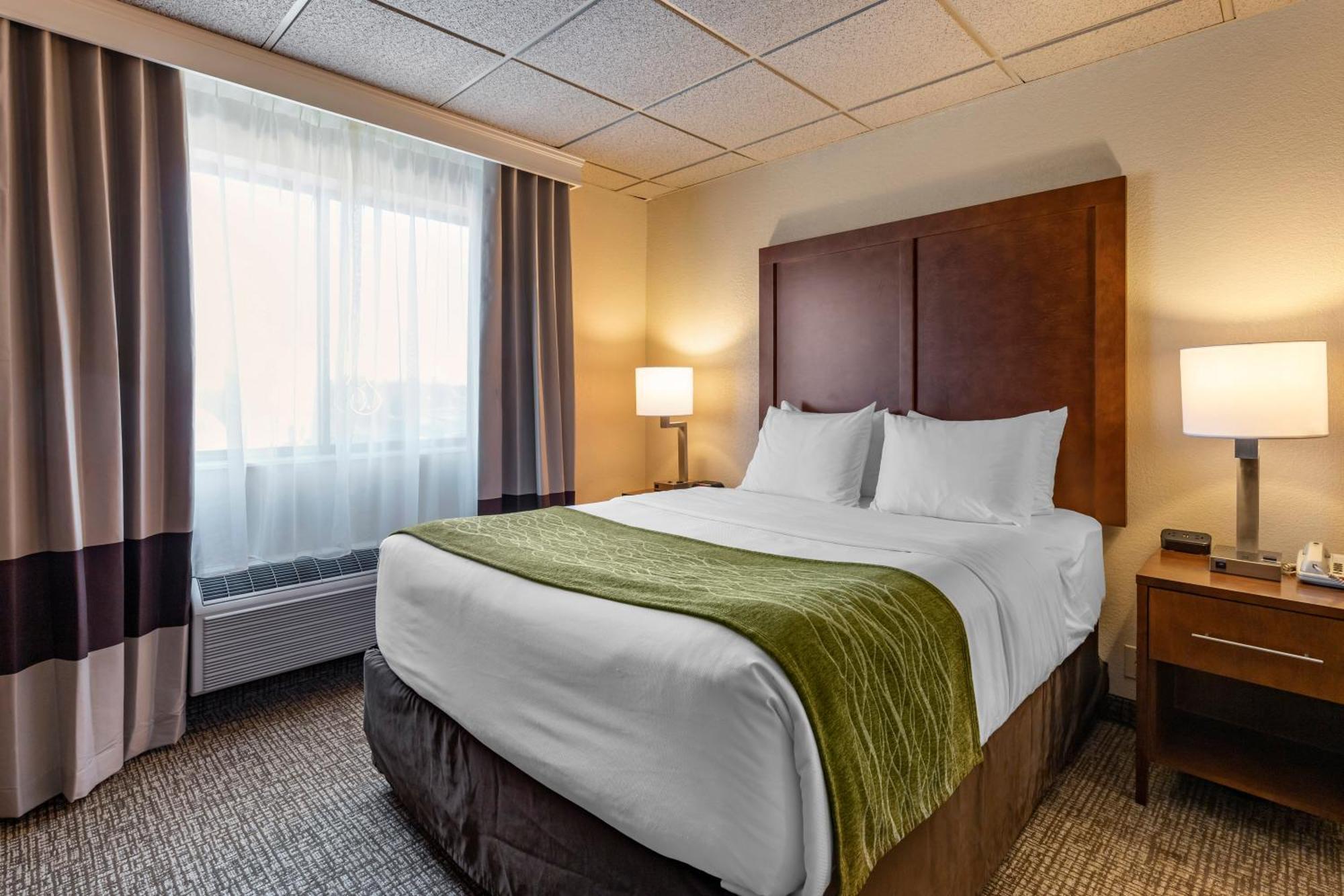 Queen Suite with Sofa Bed - Non-Smoking