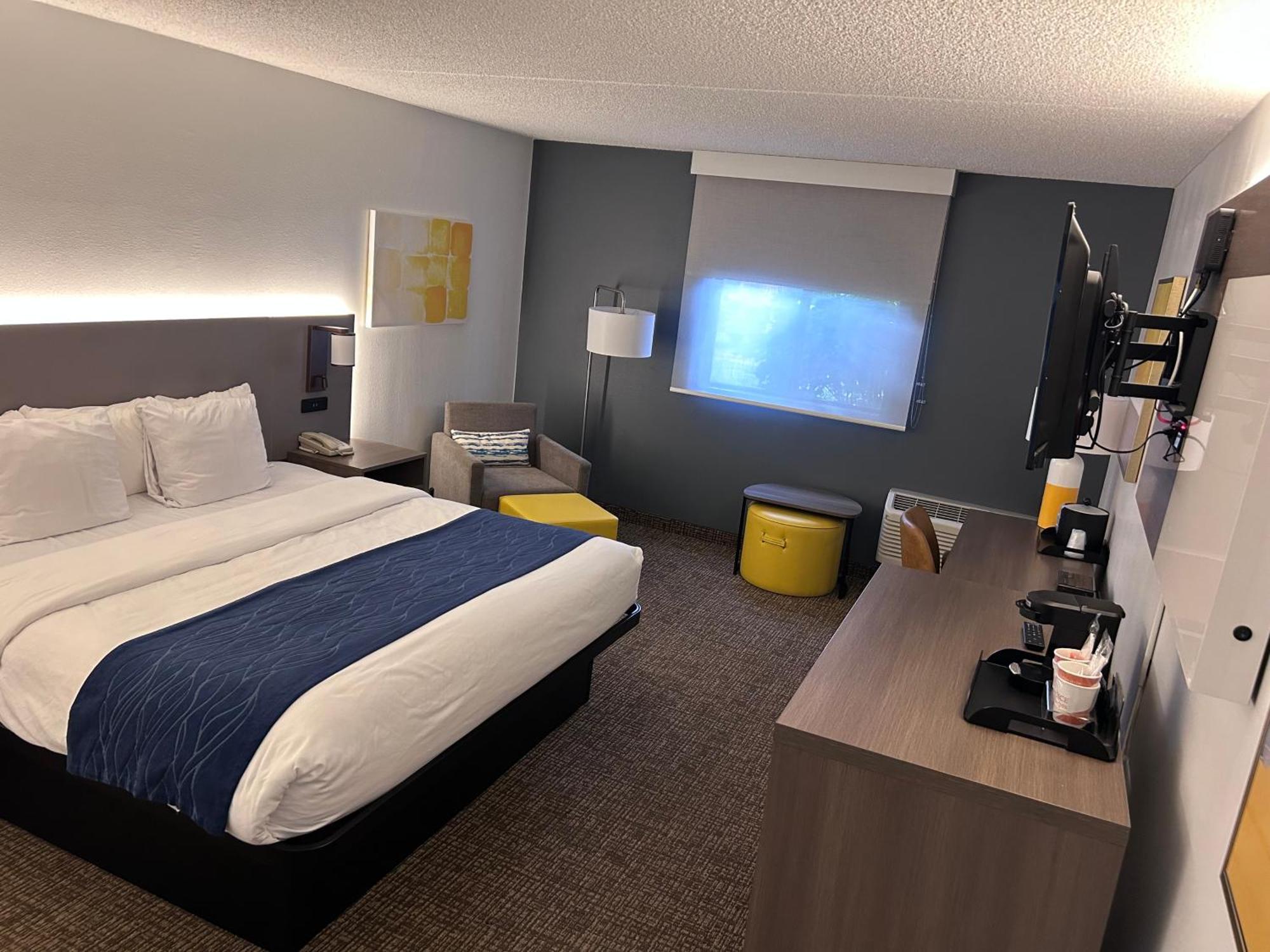 Accessible Room, 1 King Bed, Roll-In Shower, Non Smoking