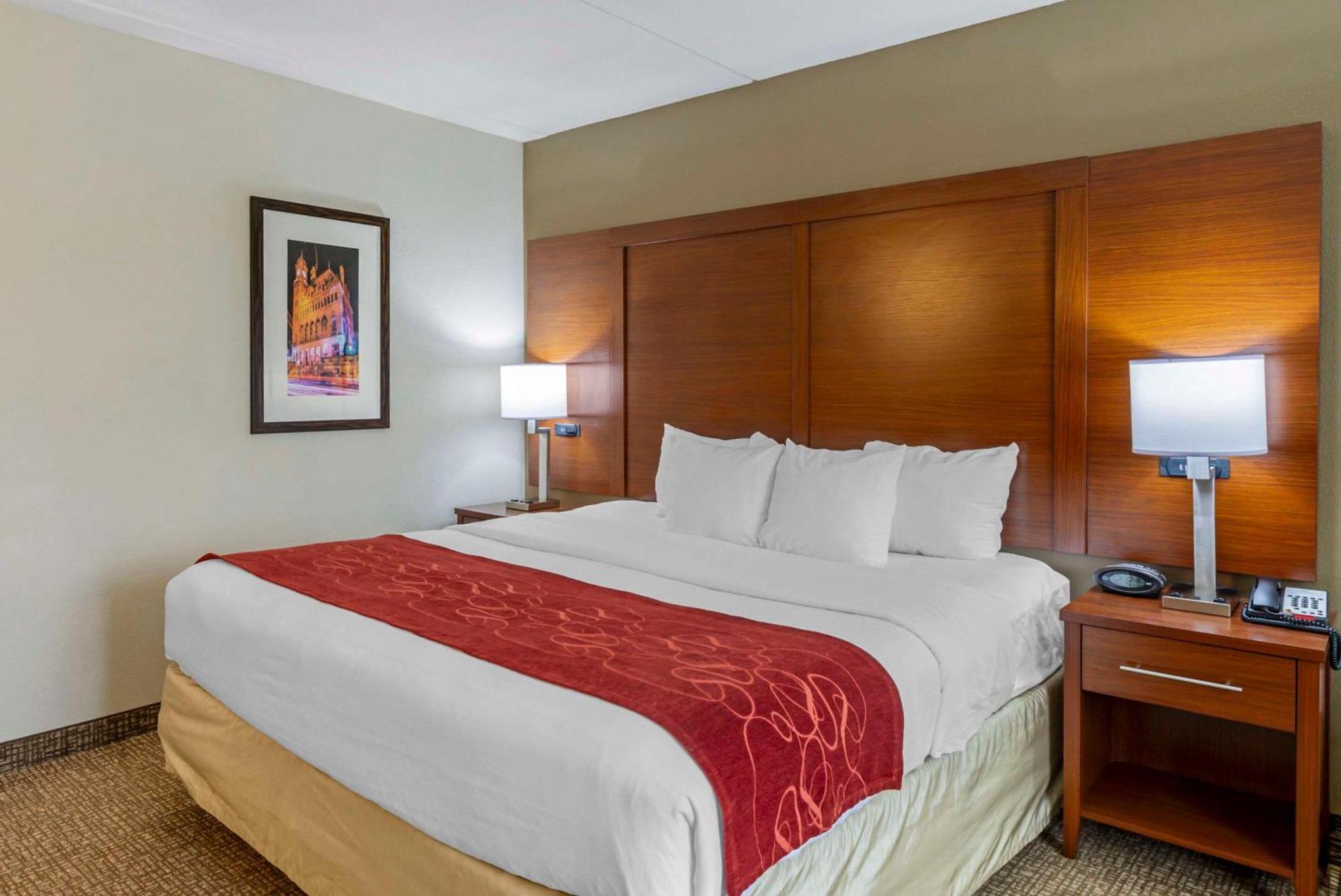 Standard King Room