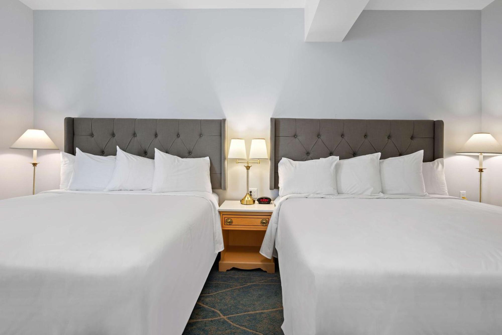 King Suite Two King Beds Sofa Bed Kitchen Non-Smoking