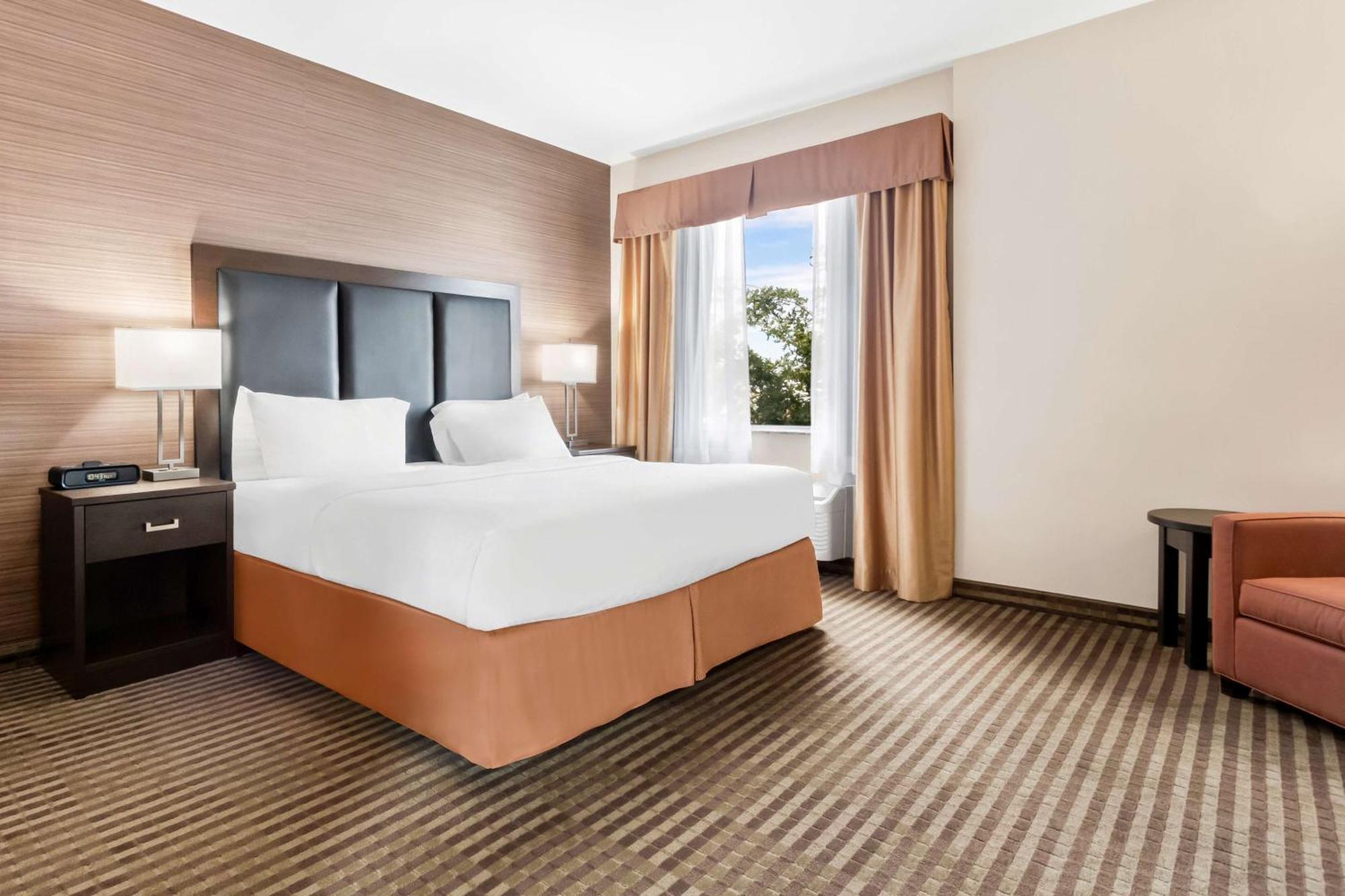 King Suite with Sofa Bed