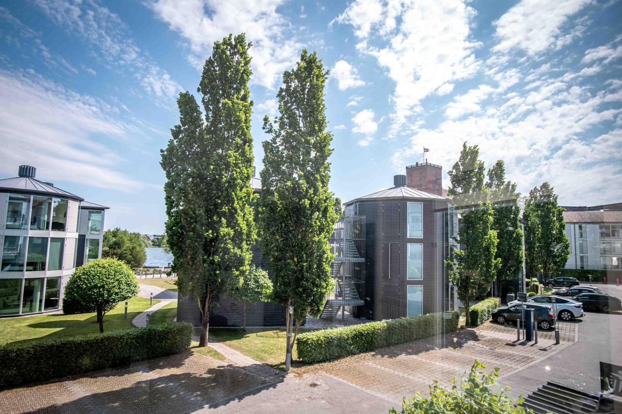 One-Bedroom Apartment Courtyard View