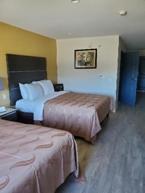 Queen Room with Two Queen Beds - Disability Access/Non-Smoking/Near Lobby