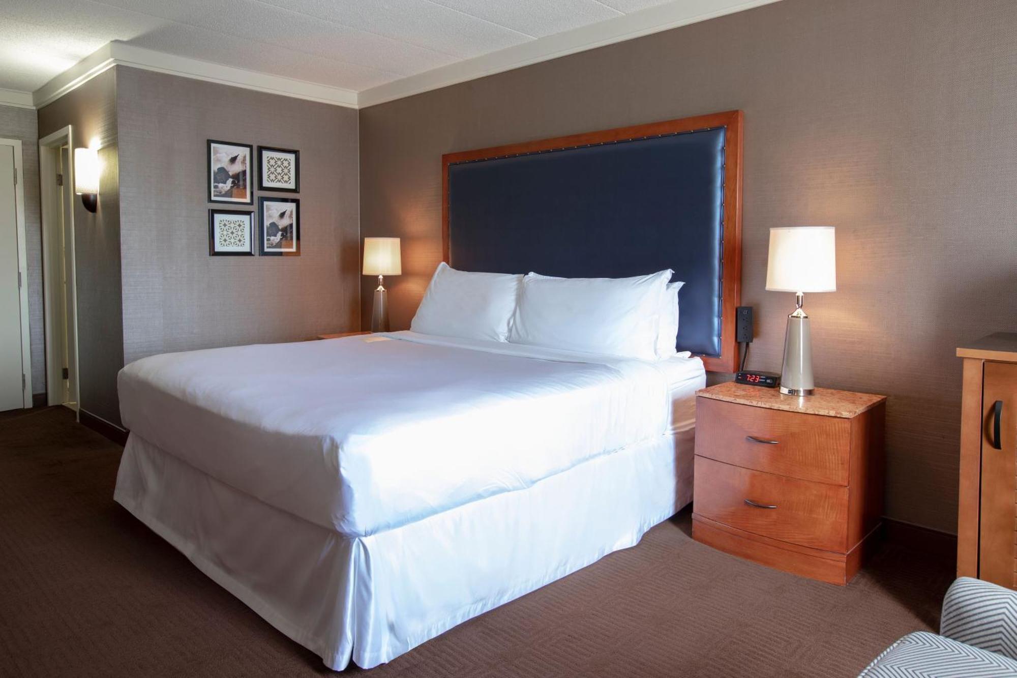 Guest Room, 1 King