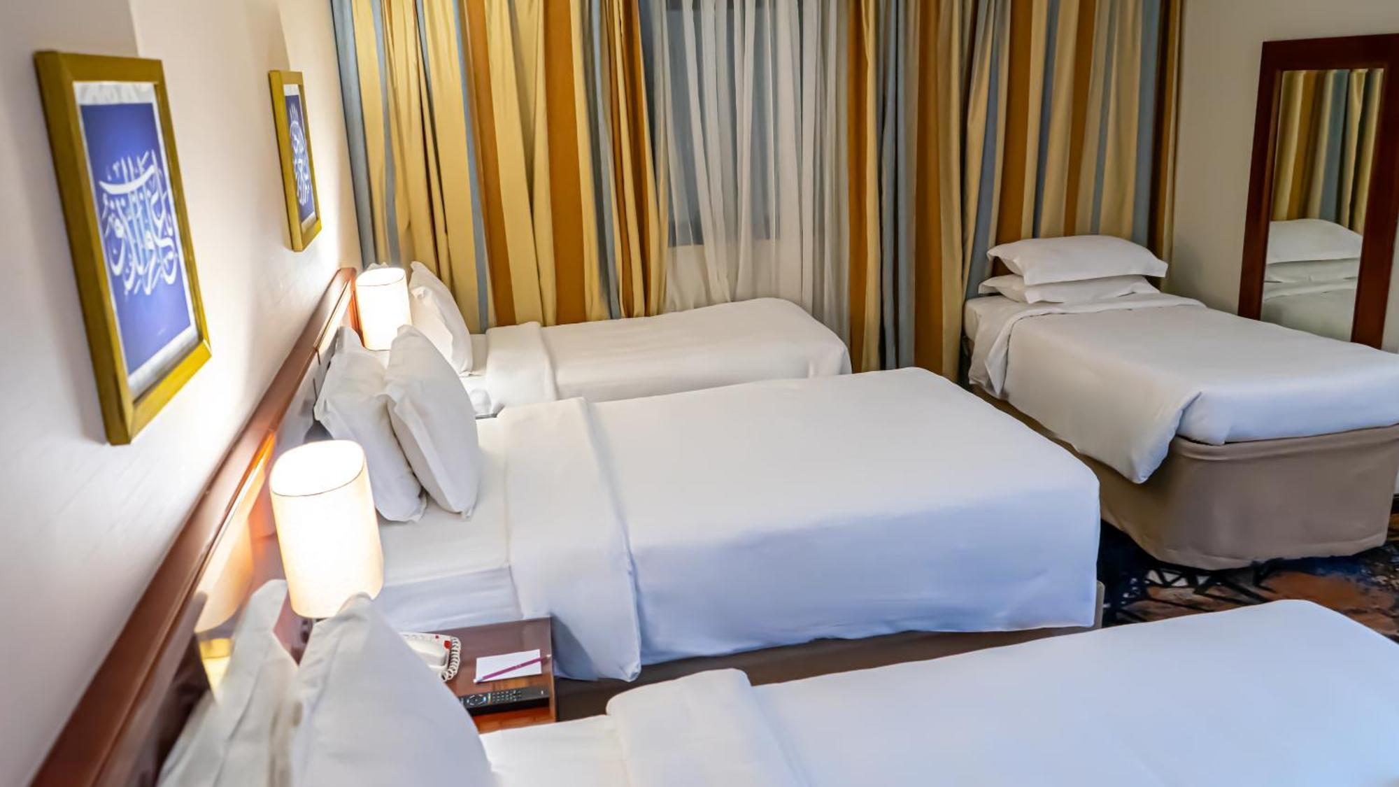 Deluxe Double or Twin Room with City View