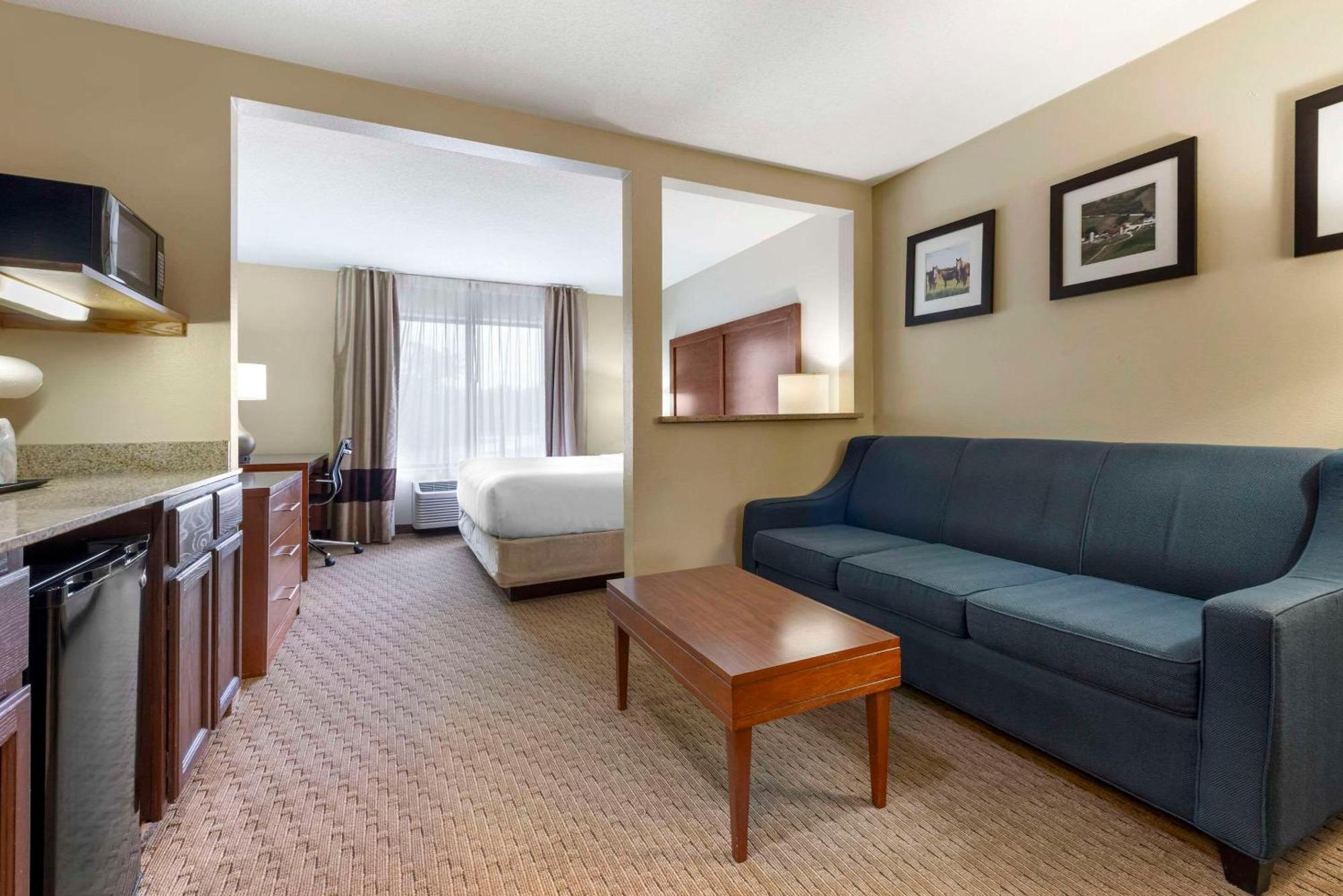 King Suite with Sofa Bed - Non-Smoking