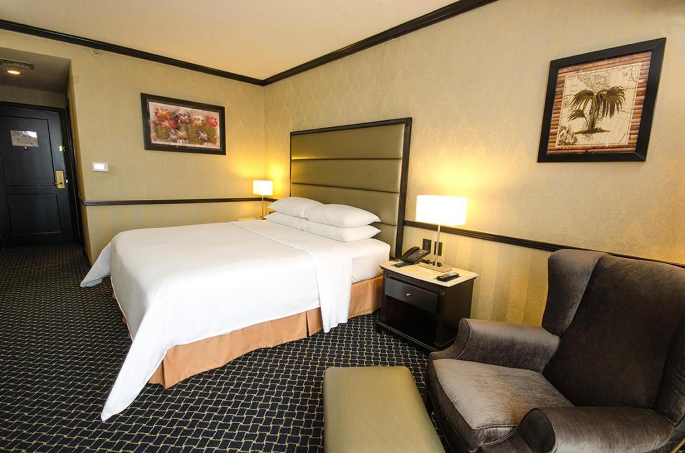 Executive King Room,1658081388:JPEG