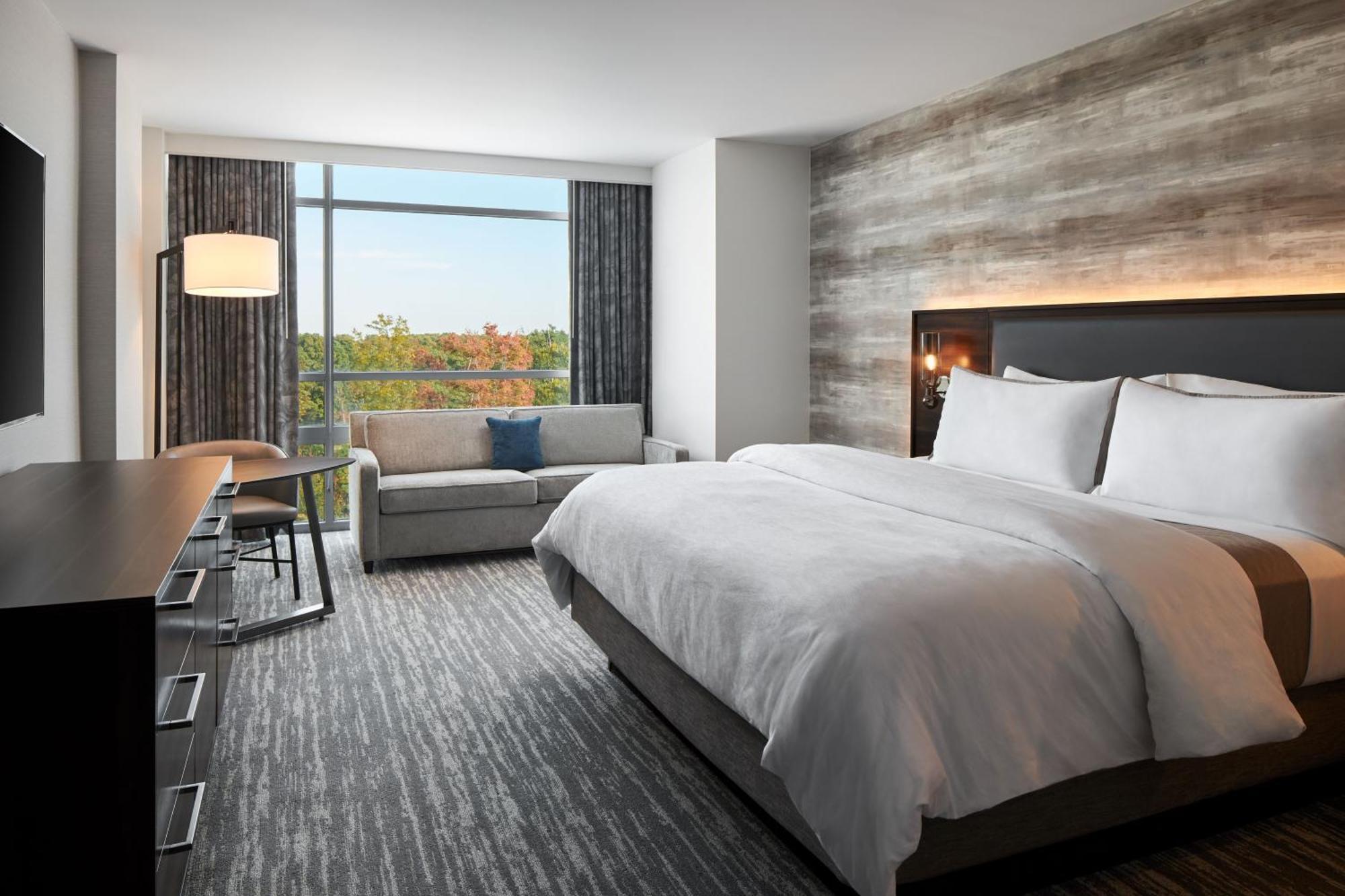 Traditional, Guest room, 1 King