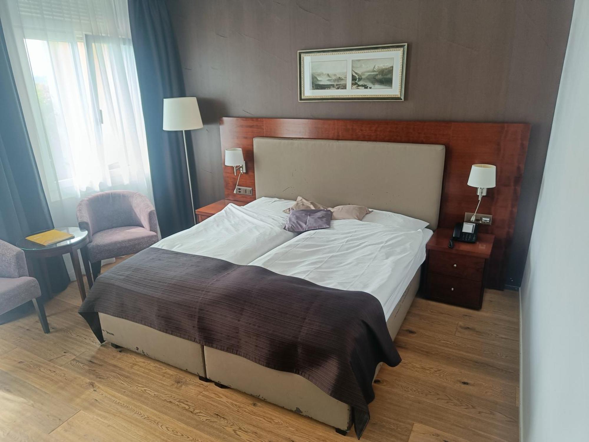 Superior Double or Twin Room with Lake View