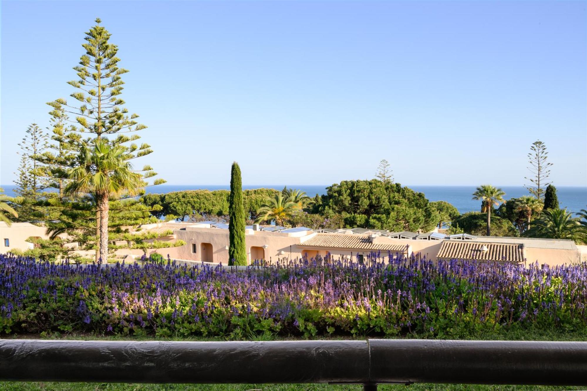 Suite Ocean