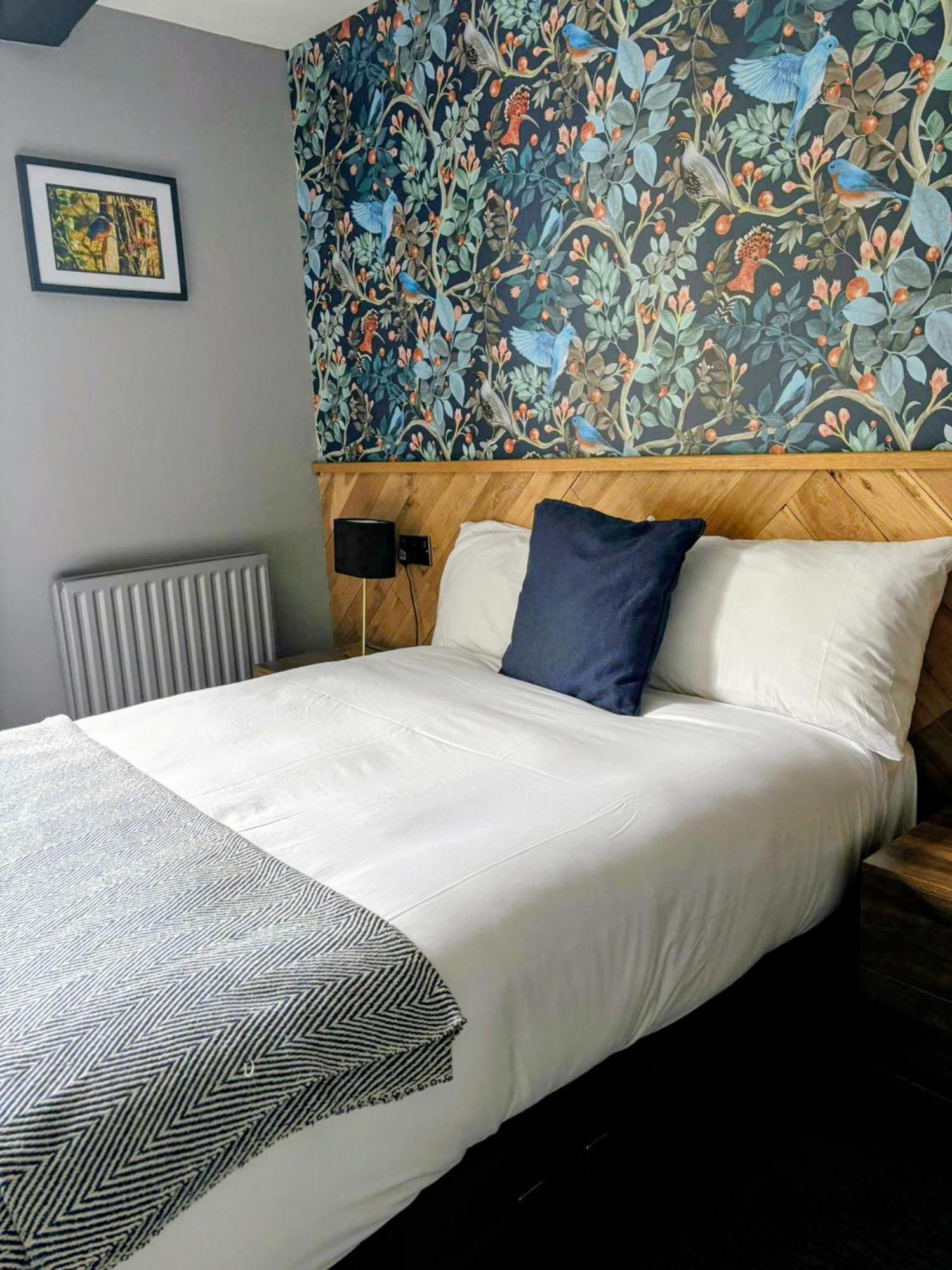 Single Room,1700198243:JPEG