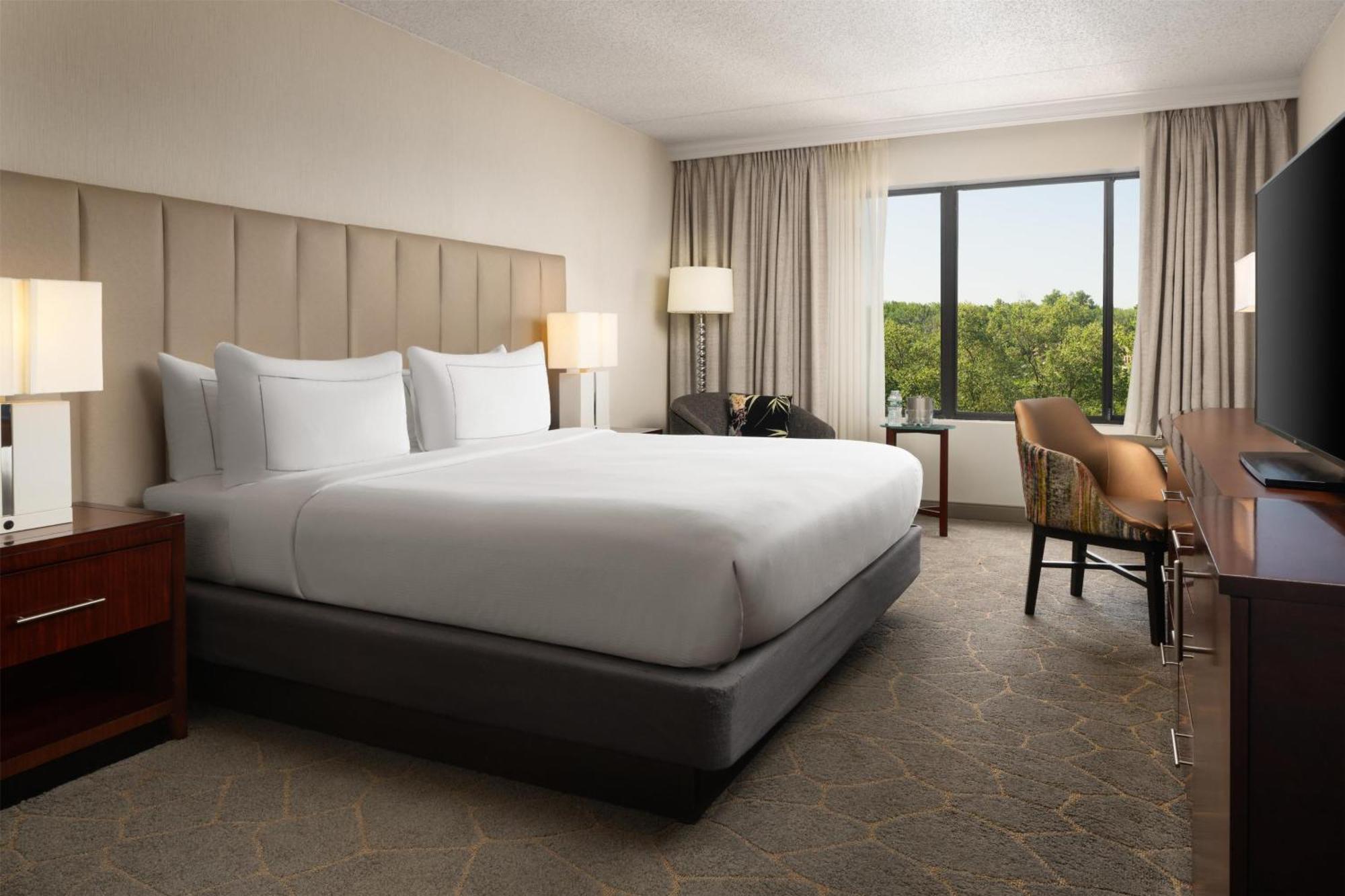 King Room